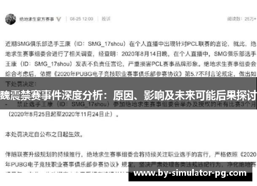 魏震禁赛事件深度分析：原因、影响及未来可能后果探讨