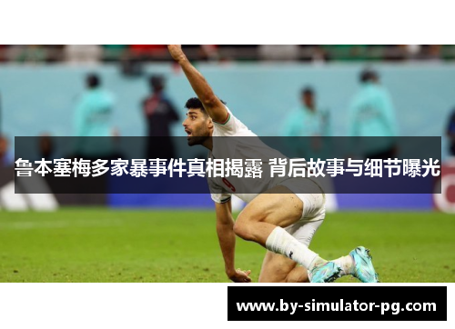 鲁本塞梅多家暴事件真相揭露 背后故事与细节曝光