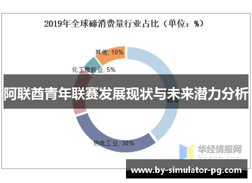 阿联酋青年联赛发展现状与未来潜力分析